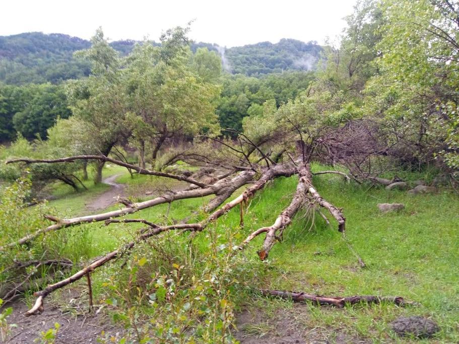 Atico En Pleno Pirineo Apartment El Pueyo de Jaca Bagian luar foto