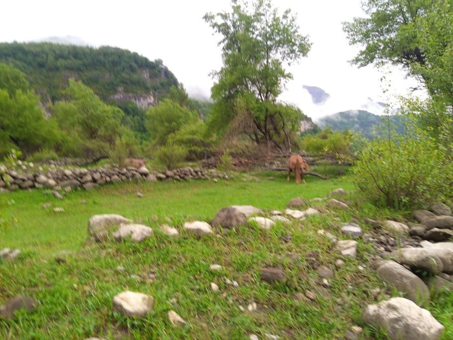 Atico En Pleno Pirineo Apartment El Pueyo de Jaca Bagian luar foto